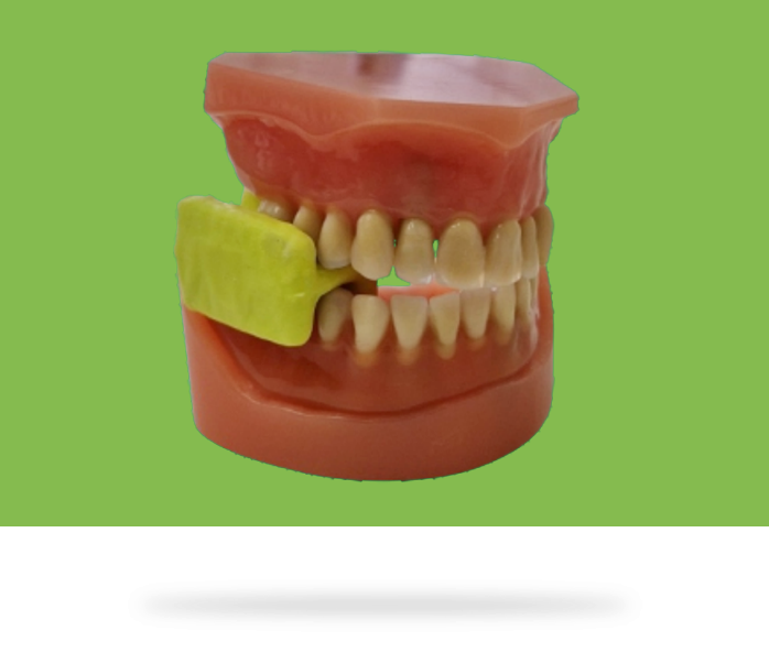 MouthCare2Go
